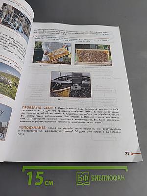 Технология. 8-9 классы