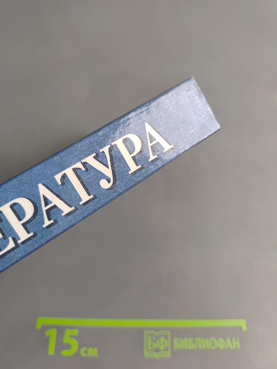 Литература 6. Учебник-хрестоматия для 6-го класса