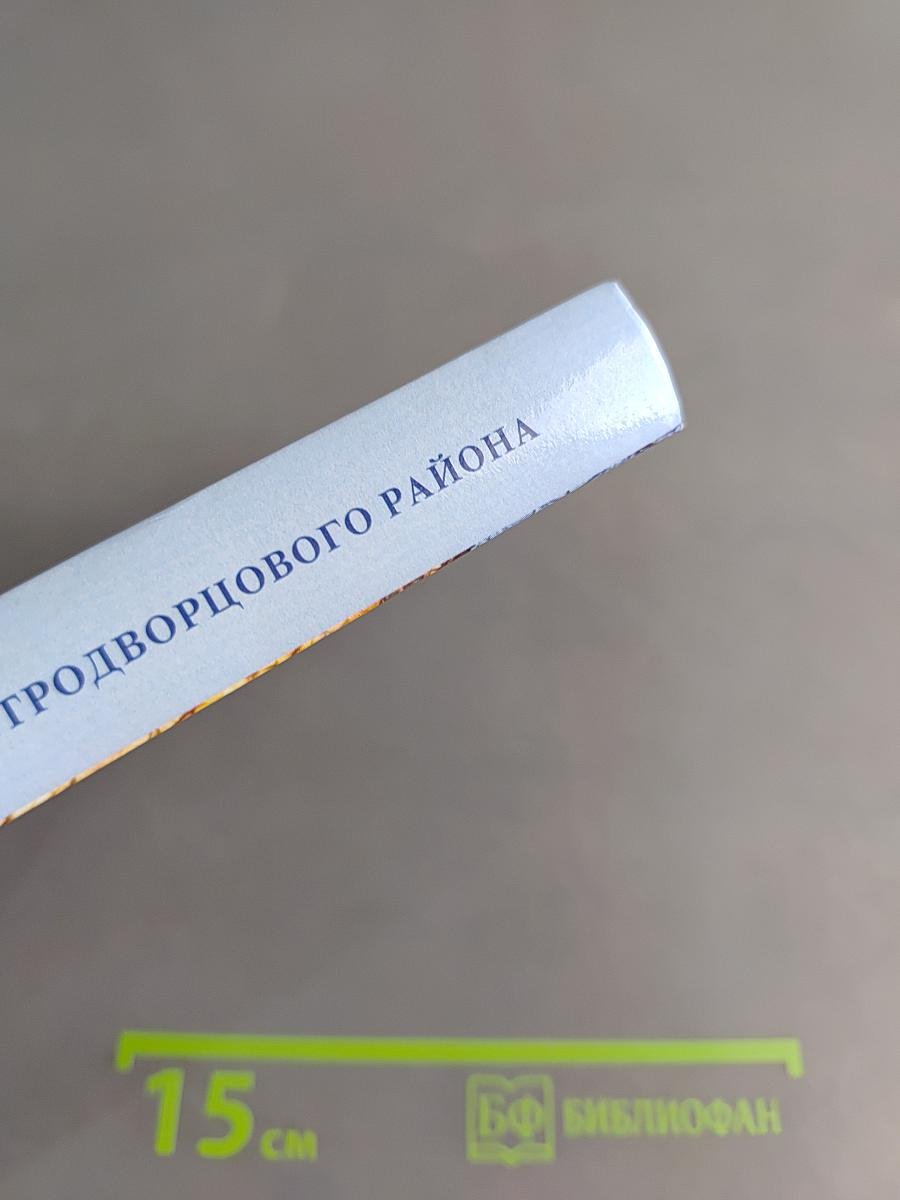Методический потенциал педагогов Петродворцового района