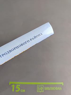 Методический потенциал педагогов Петродворцового района