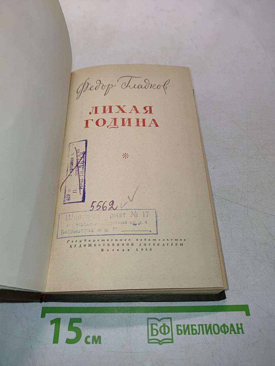 Лихая година