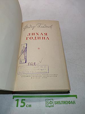 Лихая година