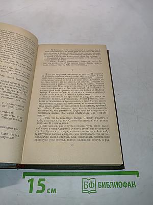Лихая година