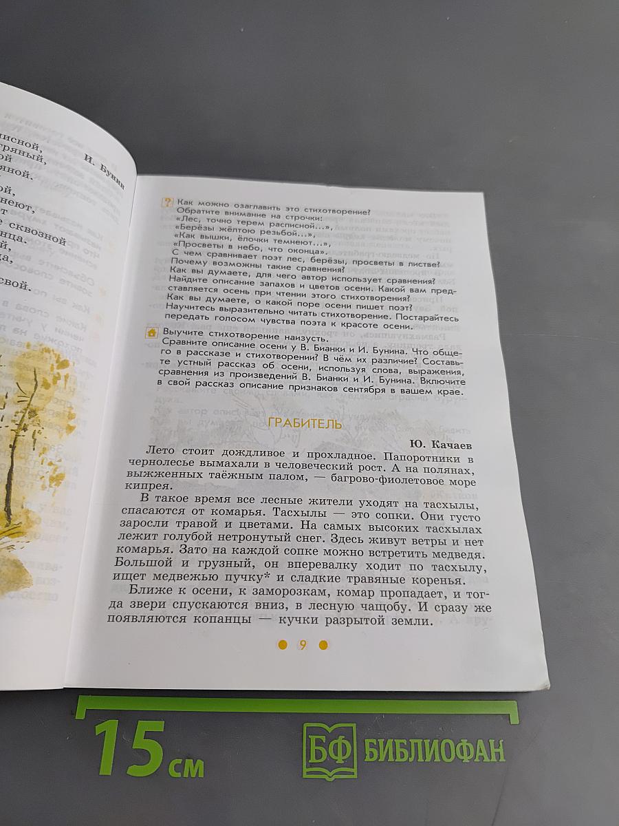 Чтение. 6 класс