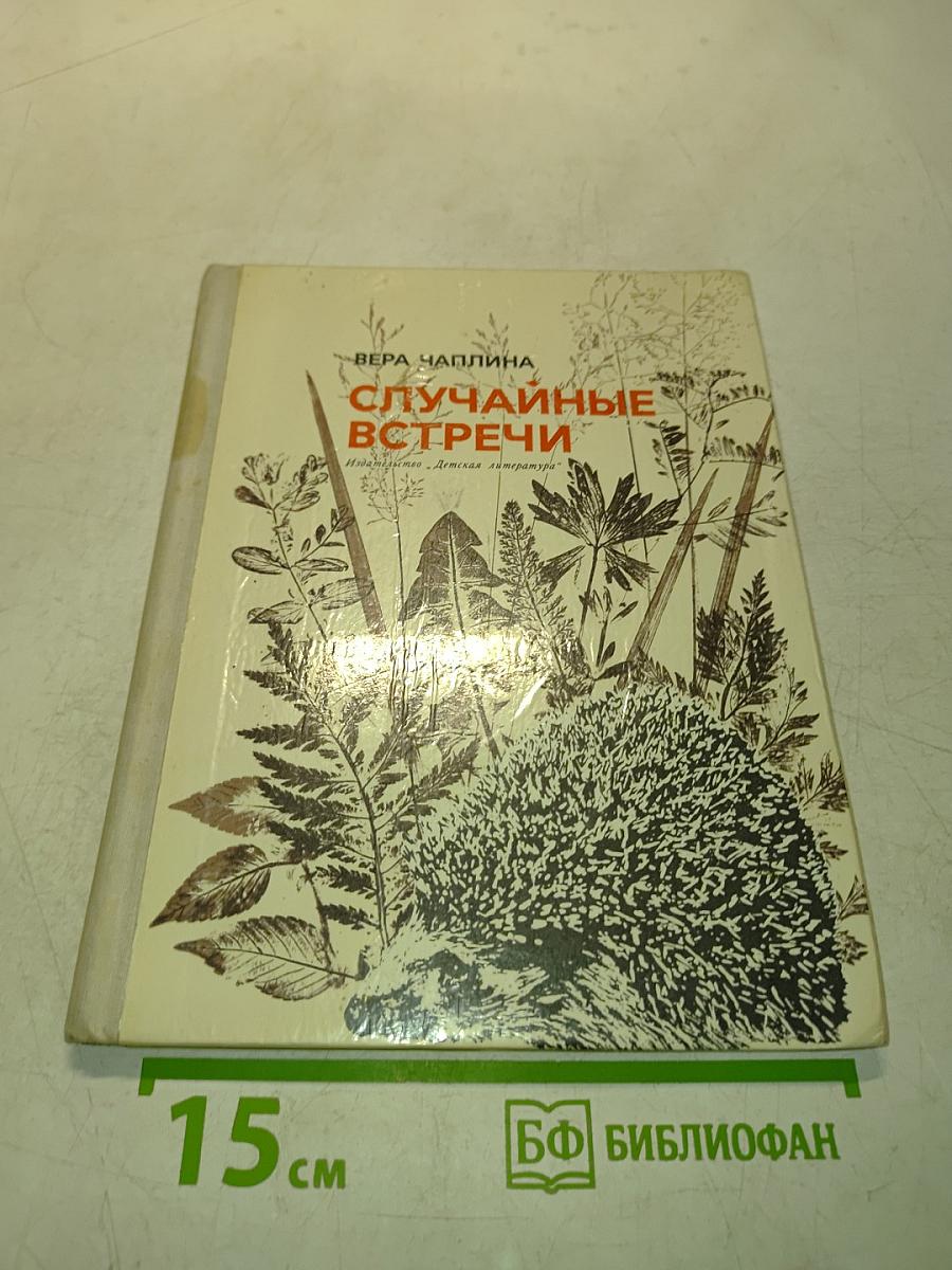 Случайные встречи