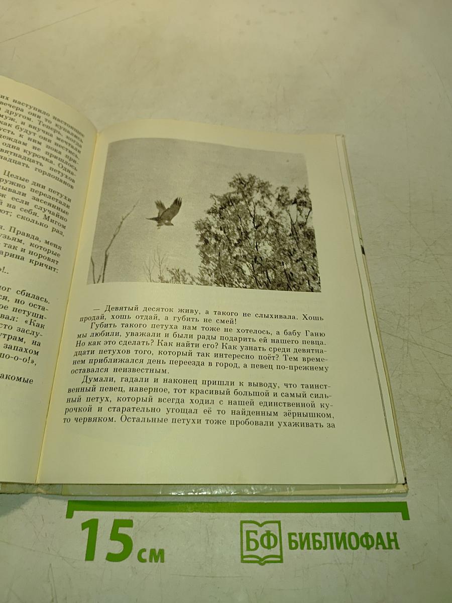 Случайные встречи