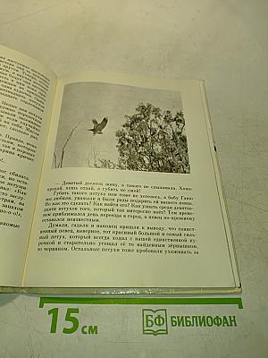 Случайные встречи
