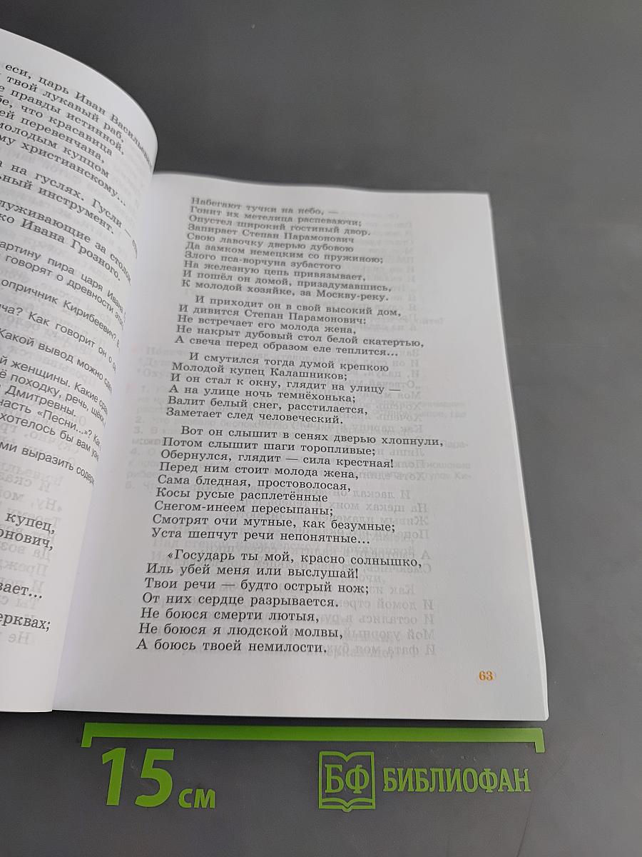 Чтение. 8 класс