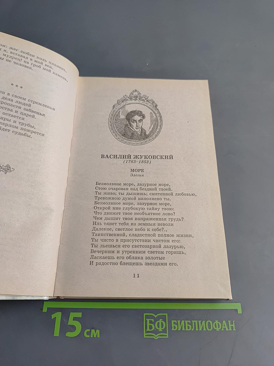 Хрестоматия школьника. Из русской поэзии XIX век. Стихотворения
