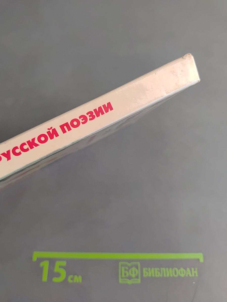 Хрестоматия школьника. Из русской поэзии XIX век. Стихотворения