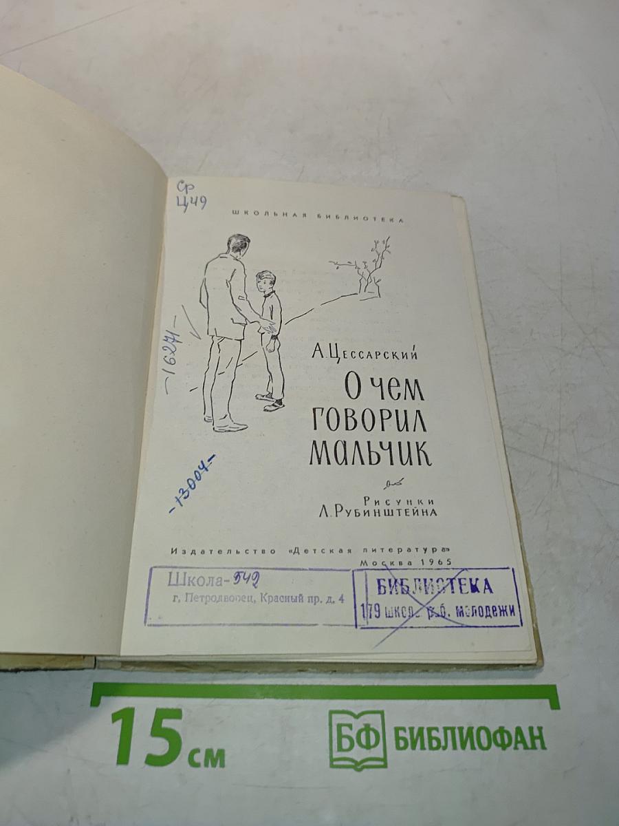 О чем говорил мальчик