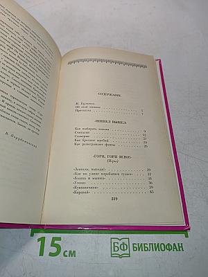 Тридцать три пирога