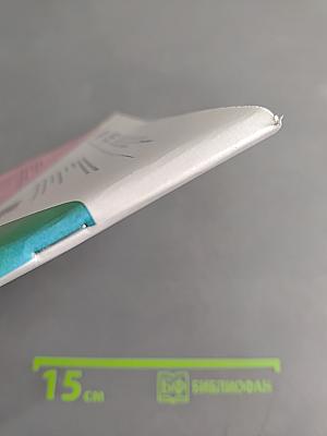 Окружающий мир. Рабочая тетрадь. 3 класс. Часть 2