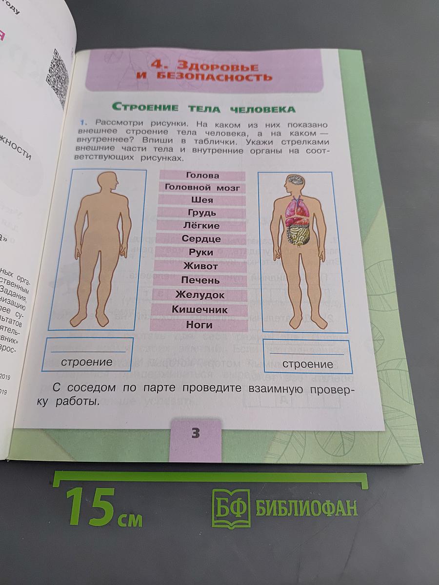 Окружающий мир. Рабочая тетрадь. 2 класс. Часть 2