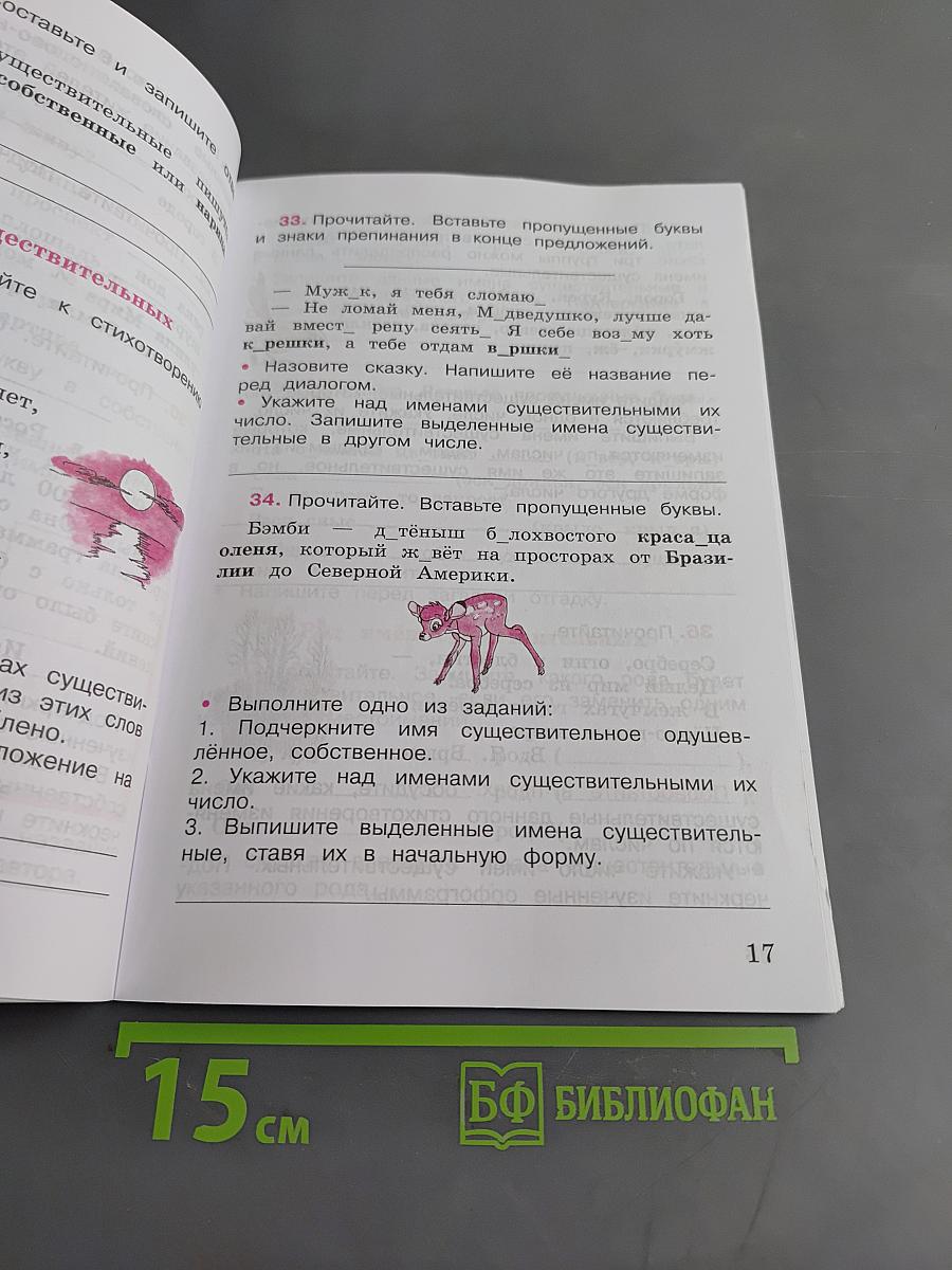 Русский язык. Рабочая тетрадь. 3 класс. Часть 2