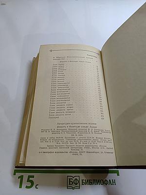 Повесть о богатыре Эмире Хамзе