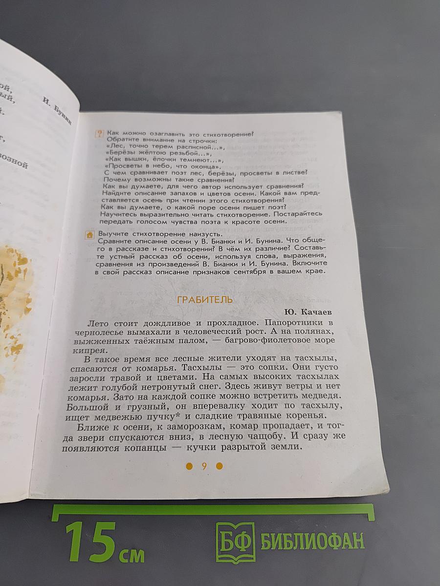 Чтение. 6 класс