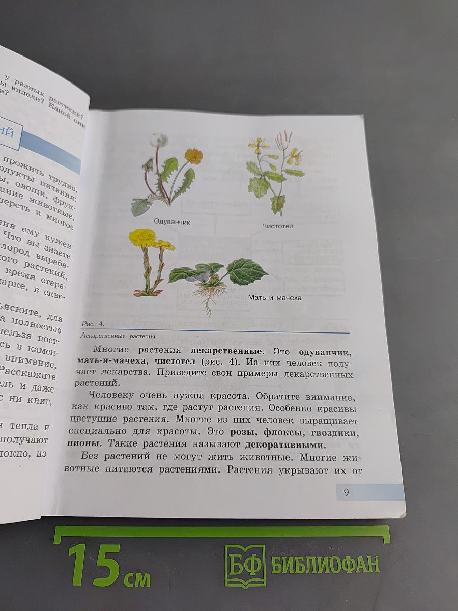 Биология. Растения. Бактерии. Грибы. 7 класс