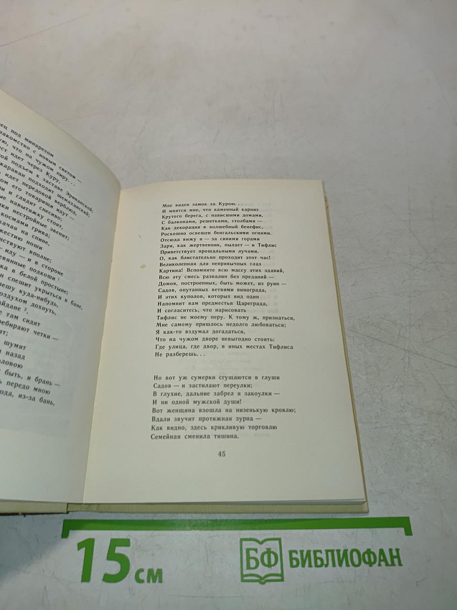 Я.П. Полонский. Избранное. Стихотворения и поэма