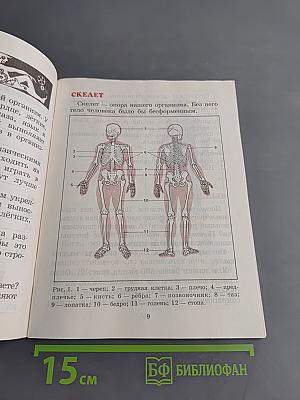 Ура, физкультура! Учебник для учащихся 2-4 классов четырехлетней начальной школы