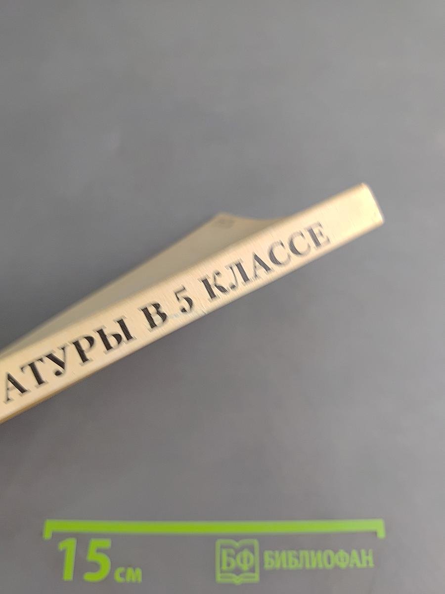 Изучение литературы в 5 классе