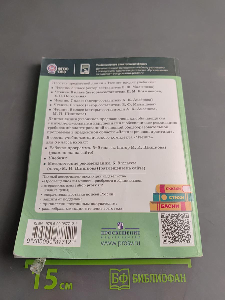 Чтение. 6 класс