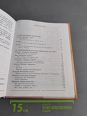 Чтение 9 класс