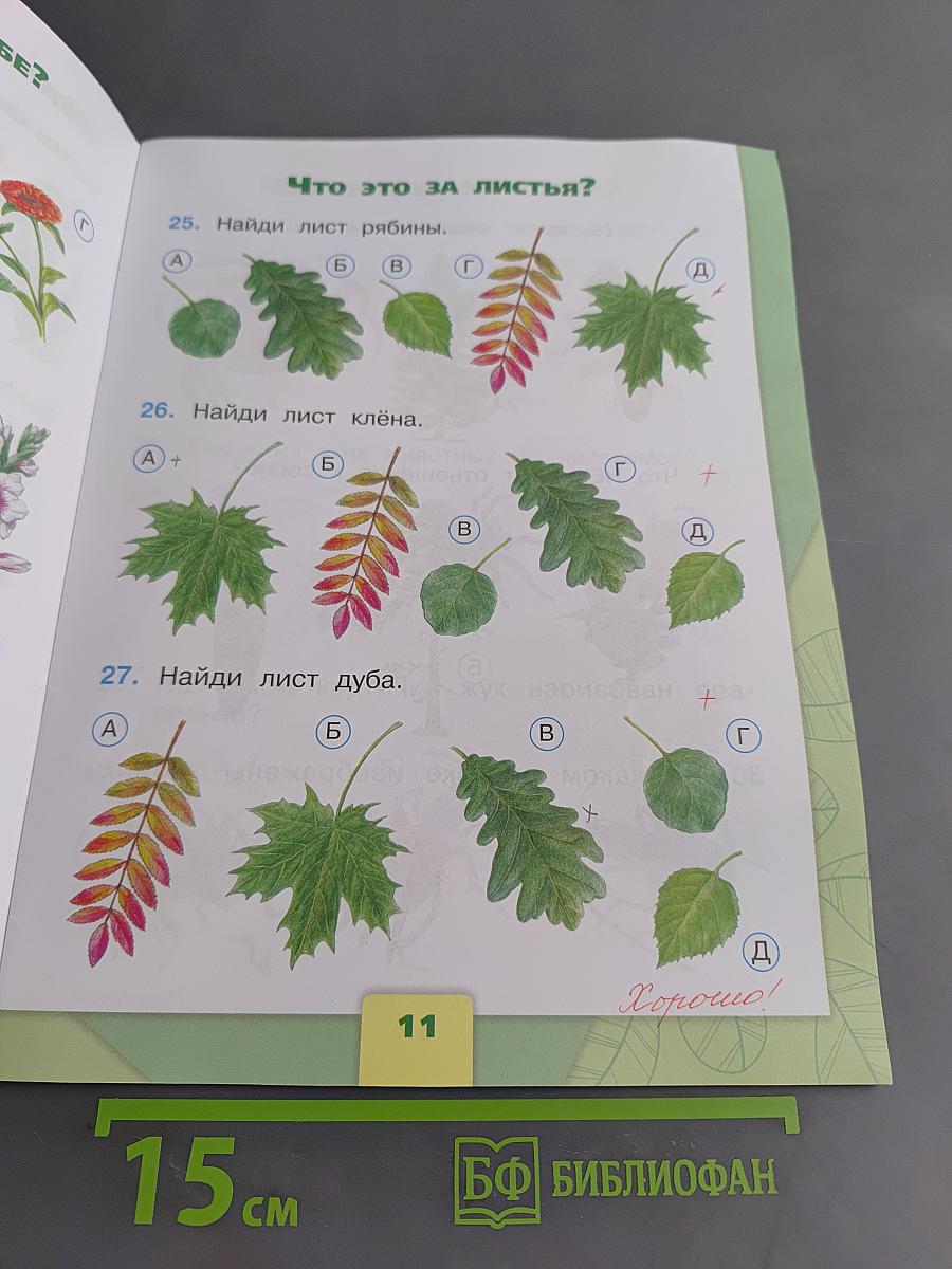 Окружающий мир. Тесты. 1 класс