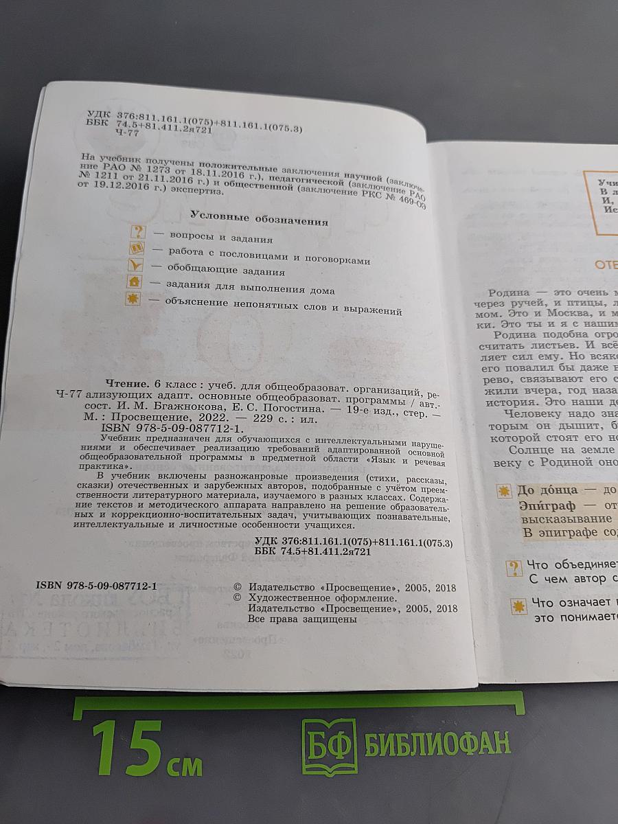 Чтение. 6 класс