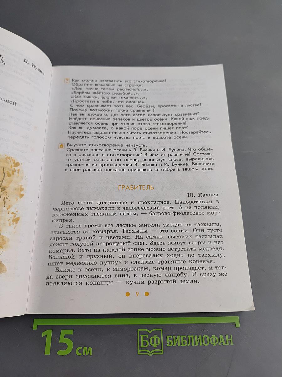 Чтение. 6 класс