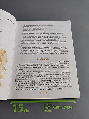 Чтение. 6 класс