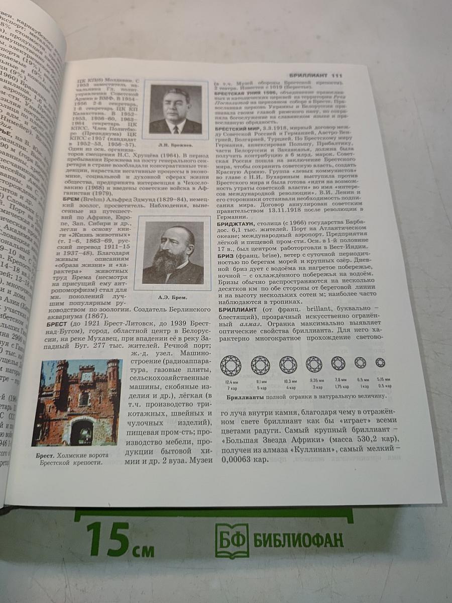 Большой энциклопедический словарь школьника