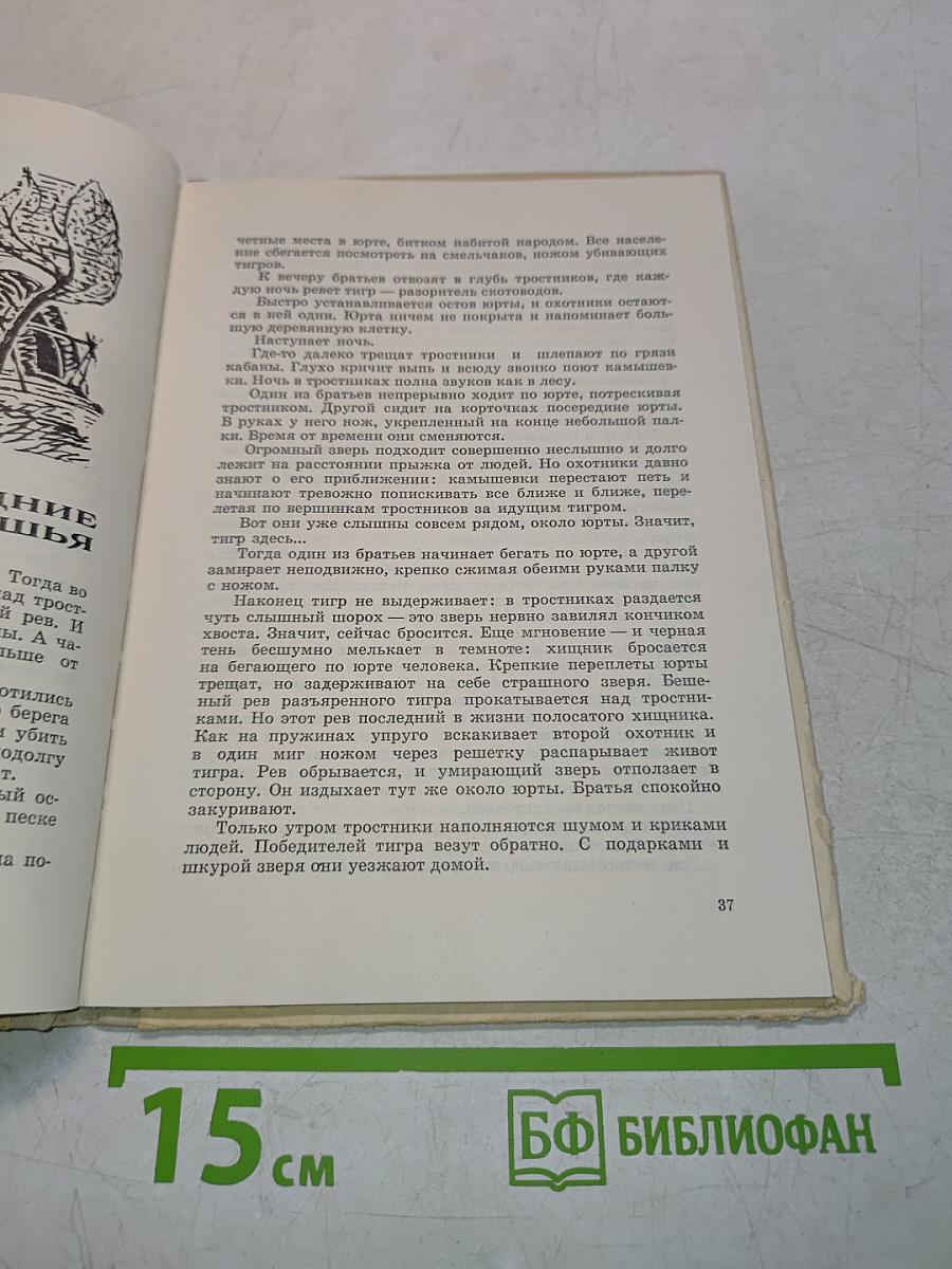 Лесные шорохи