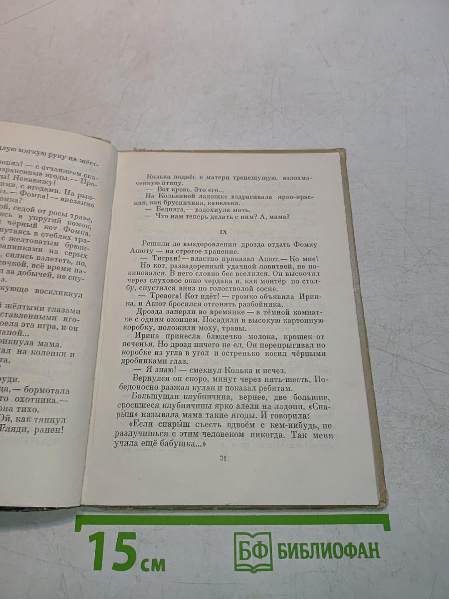 Мальчишке было скучно