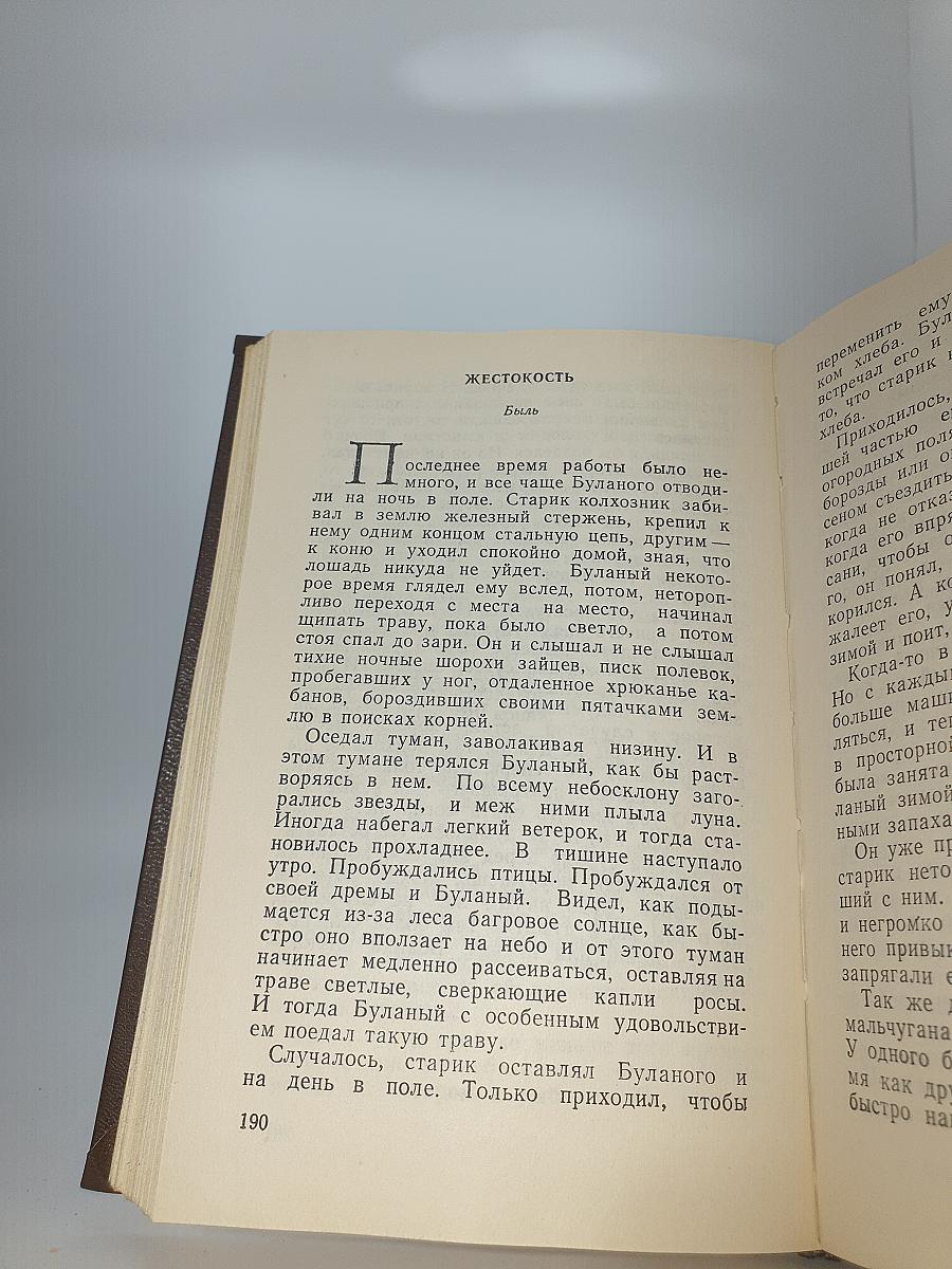 Выстрел на берегу