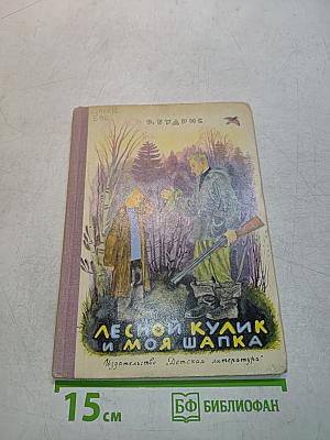 Лесной кулик и моя шапка