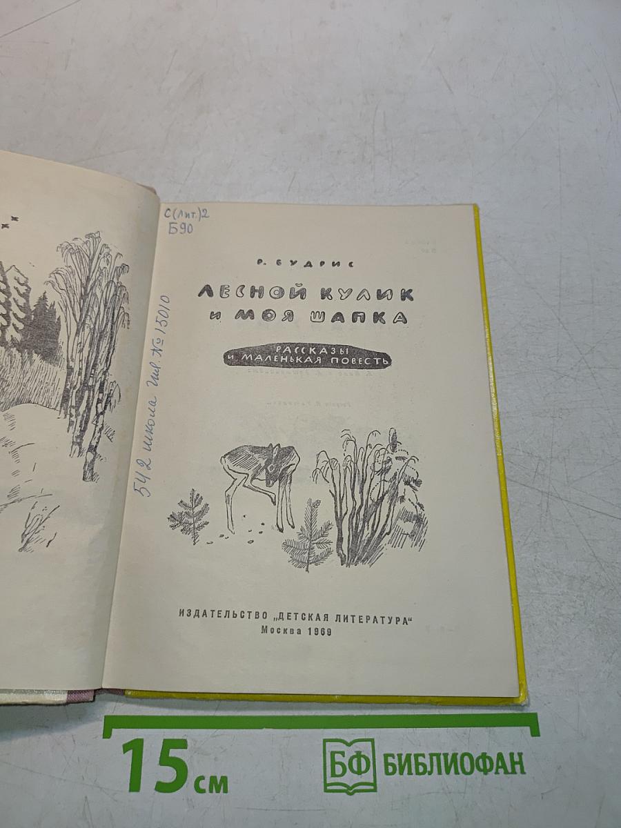 Лесной кулик и моя шапка
