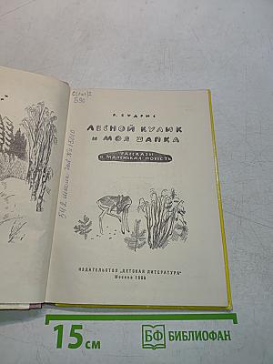 Лесной кулик и моя шапка