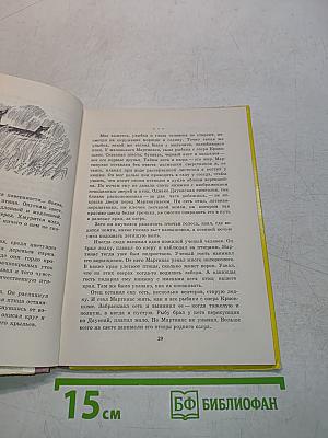 Лесной кулик и моя шапка
