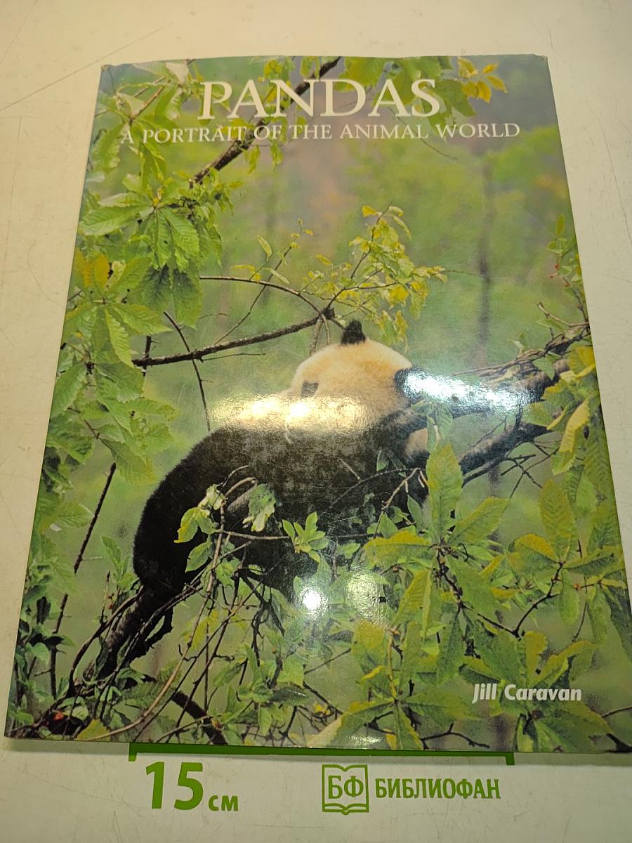 Pandas: A Portrait of the Animal World