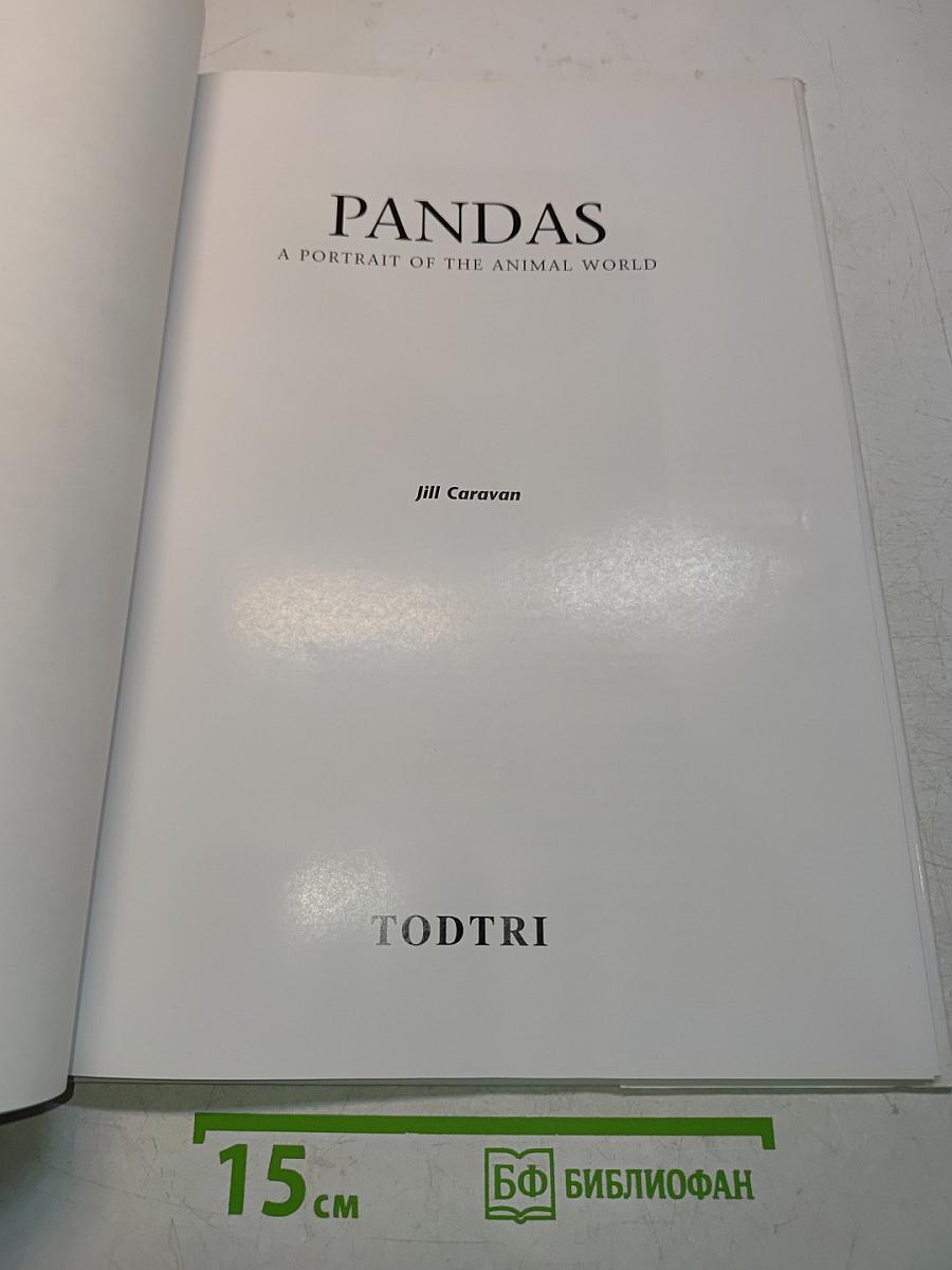 Pandas: A Portrait of the Animal World