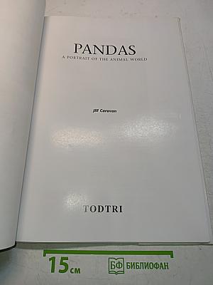Pandas: A Portrait of the Animal World