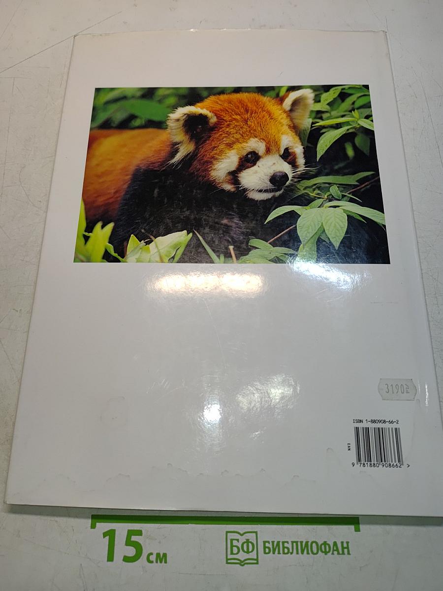 Pandas: A Portrait of the Animal World