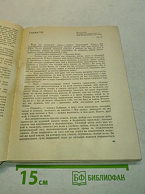 Последний из Могикан
