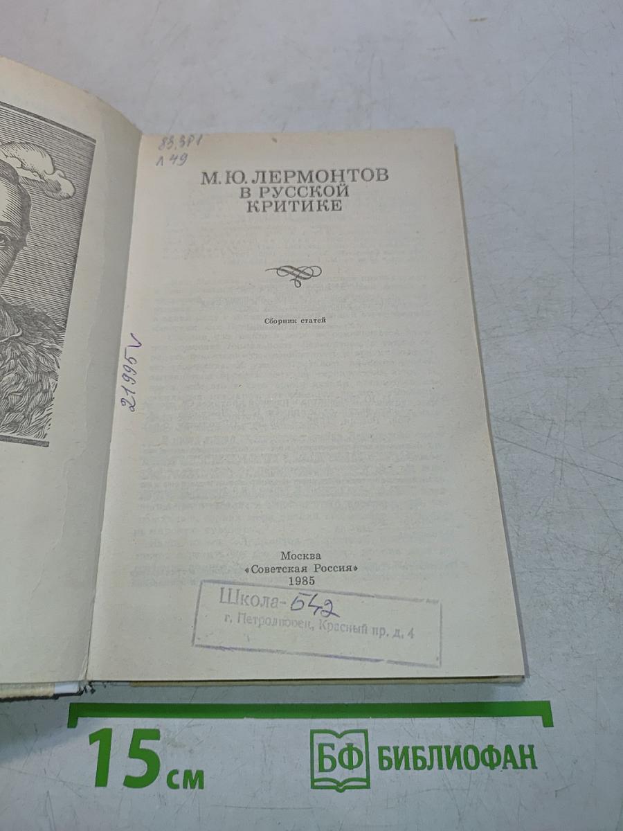 М. Ю. Лермонтов в русской критике