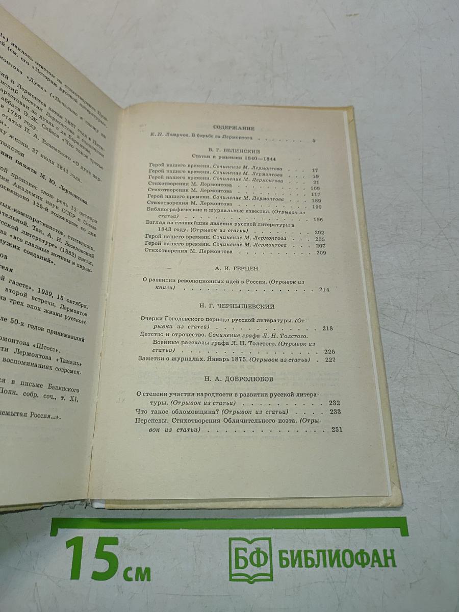 М. Ю. Лермонтов в русской критике
