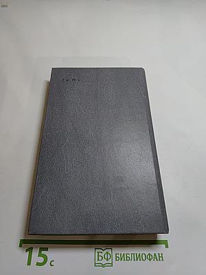 Каменный пояс. Книга вторая: Наследники