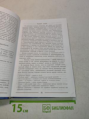 Литература 9 класс. Учебник для общеобразовательных учреждений. Часть 2
