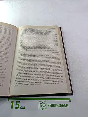 Черный консул