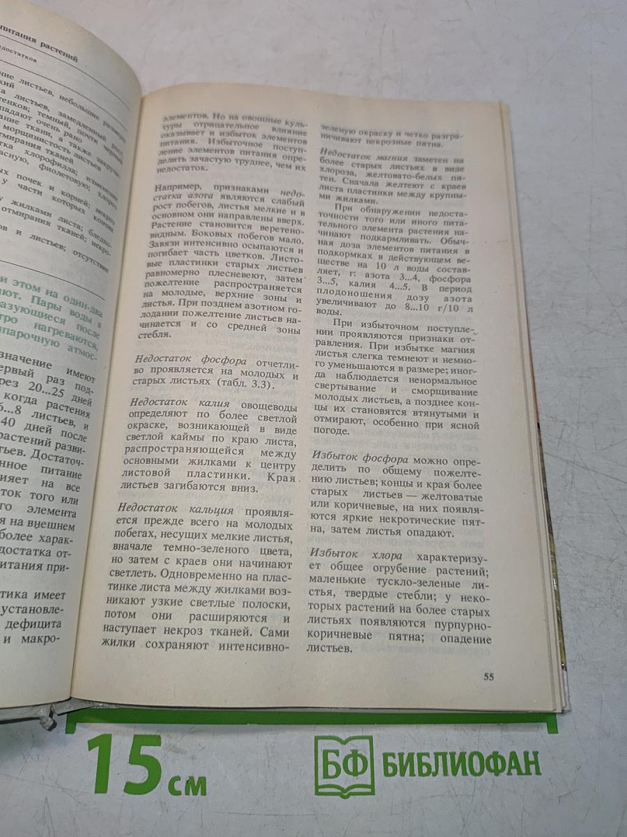 Огород с весны до осени